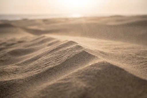 Backlit Windblown Coastal Sand Dune Ripples