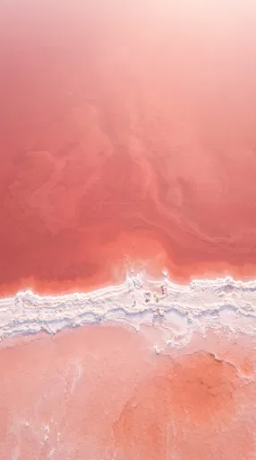 Aerial View of Pink Salt Lake