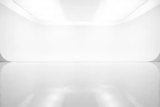 Bright White Glossy Studio Backdrop