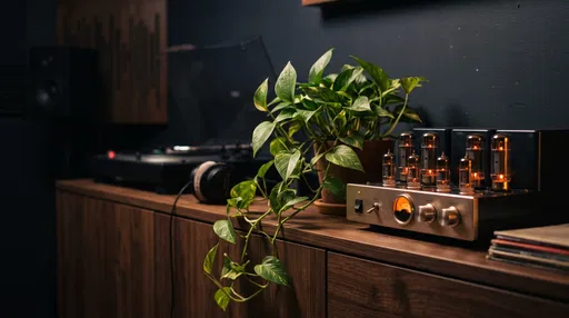 Glowing Tube Amplifier with Pothos Plant