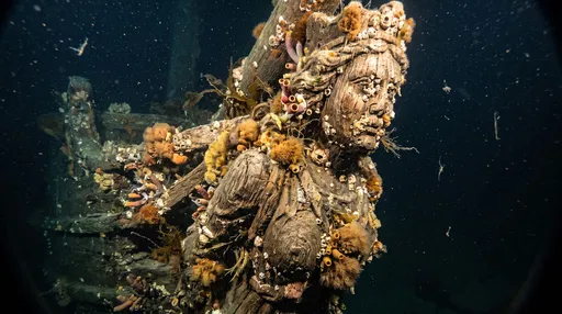 Underwater Shipwreck Wooden Figurehead