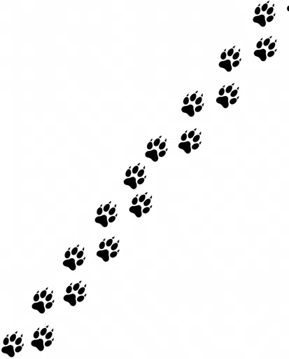 Black Canine Paw Print Trail