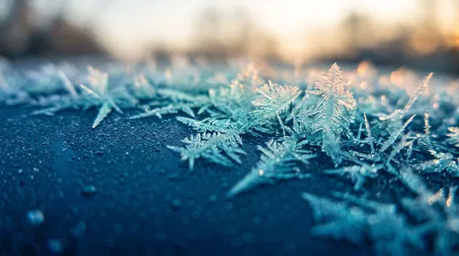 Macro Frost Crystals at Dawn
