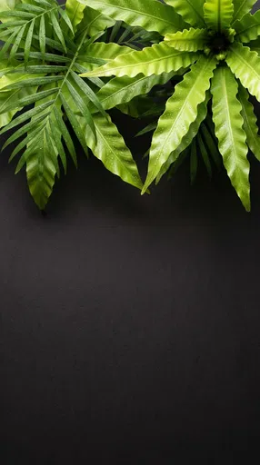 Dewy Green Leaves on Black Background