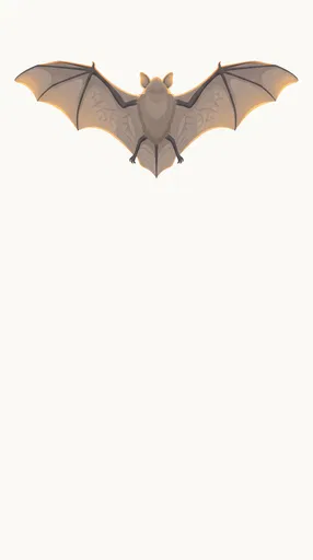 Top-Down Flying Bat Vector Illustration