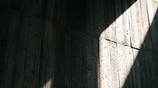 Sunlight and Dust on Brutalist Concrete Wall