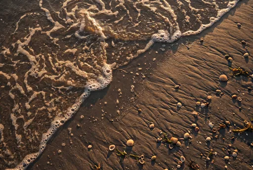 Golden Hour Waves and Seashells on Sand