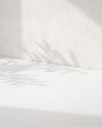 Minimalist White Surface and Textured Wall