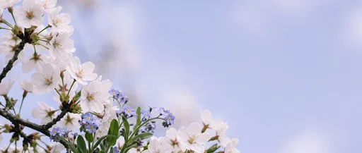 Cherry Blossoms and Forget-Me-Nots Against Pastel Sky