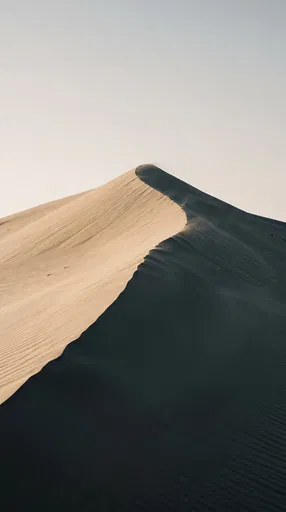 Minimalist Sand Dune Crest in Shadow