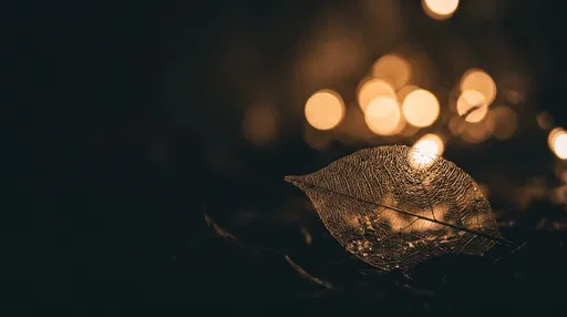 Backlit Skeleton Leaf with Warm Bokeh
