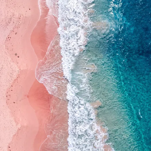 Aerial View of Pink Sand Beach
