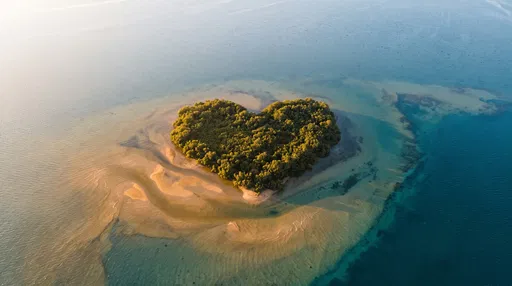 Aerial View of Heart-Shaped Mangrove Island