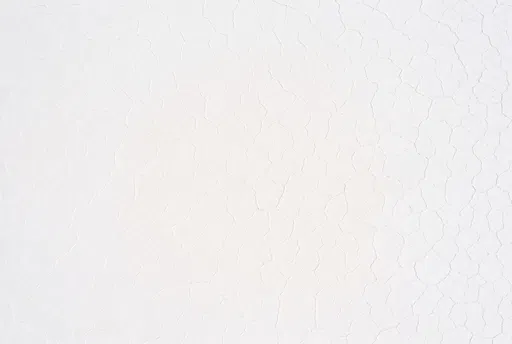 White Cracked Salt Flat Texture Background
