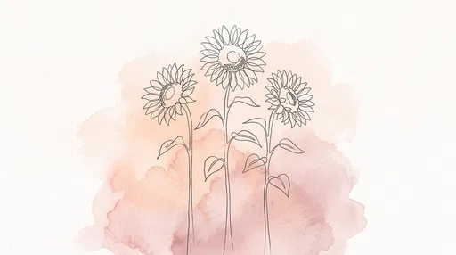 Minimalist Line Art Sunflowers on Watercolor