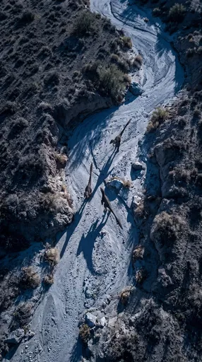 Aerial View of Velociraptors in Dry Riverbed