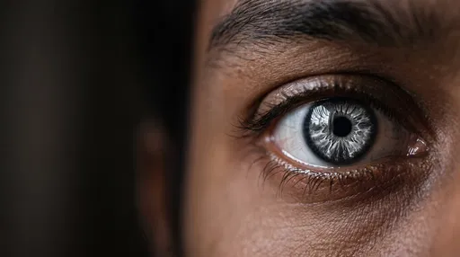 Macro Close-Up of Charcoal Grey Eye