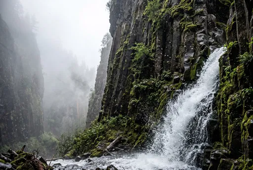 Misty Canyon Waterfall on Mossy Basalt Cliff