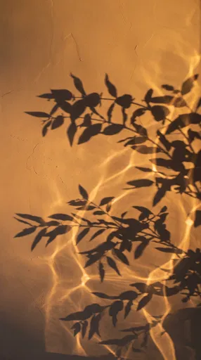 Botanical Shadows and Caustics on Plaster