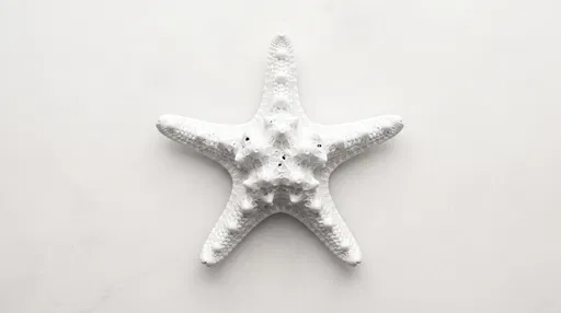 White Knobby Starfish on Light Surface