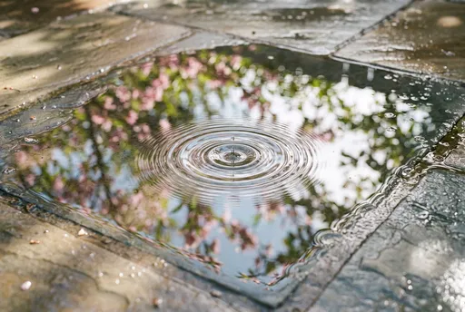 Spring Blossoms Reflected in Flagstone Puddle