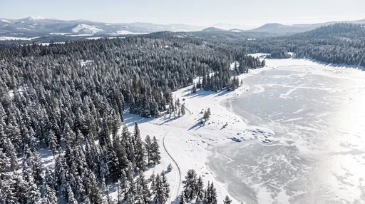 Aerial View of Snowy Forest and Lake