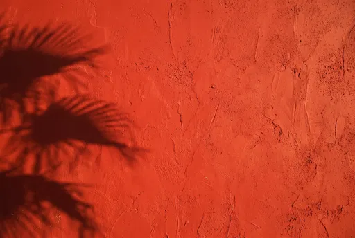 Palm Shadow on Scarlet Stucco Wall